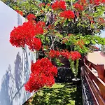 빌라 Casa Arima 플라야블랑카