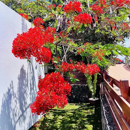 Vila Casa Arima Playa Blanca (Lanzarote)